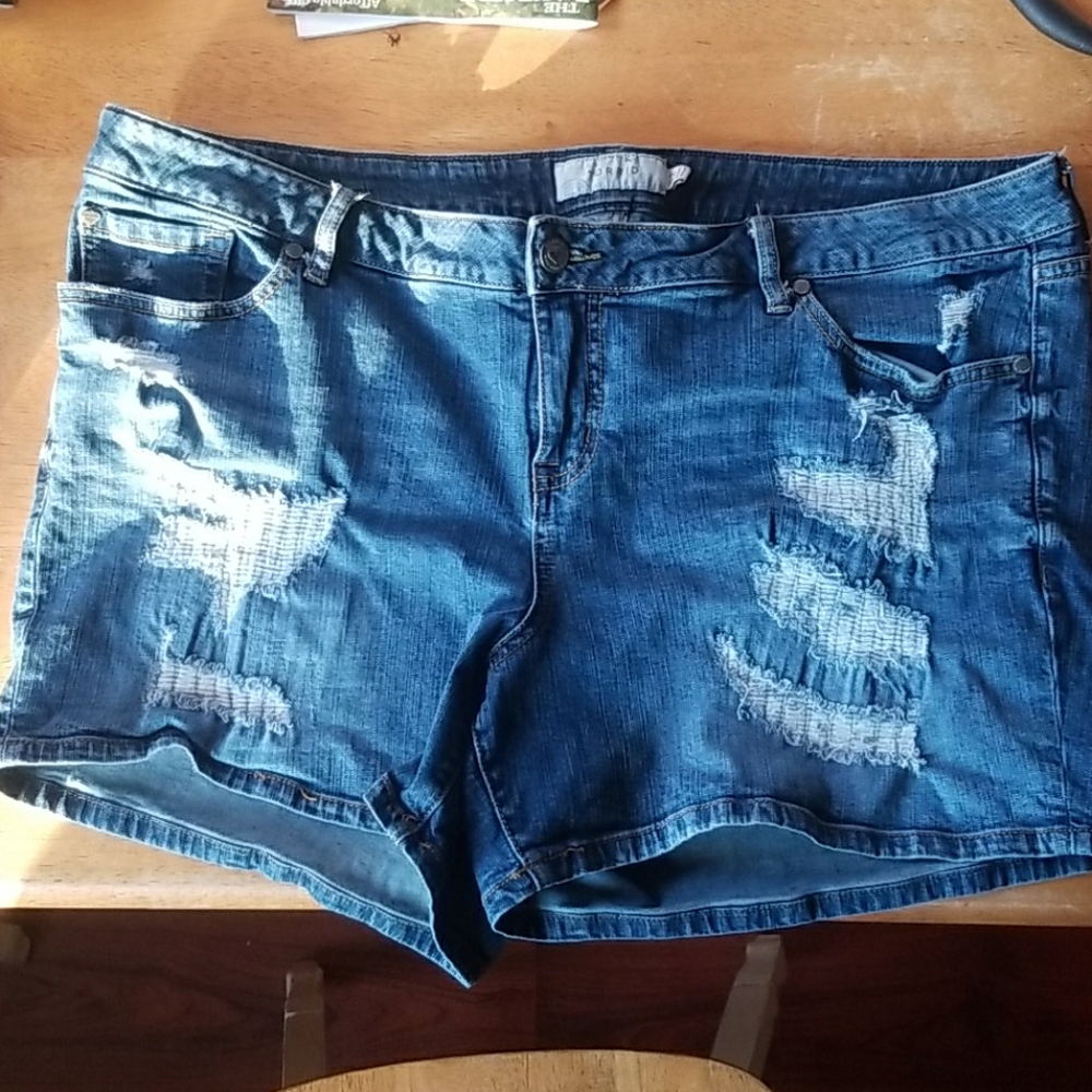 Torrid Distressed Shorts